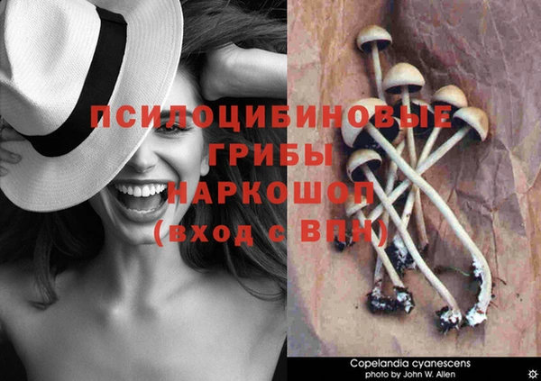 кокс Белокуриха