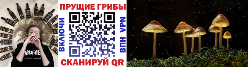 Галлюциногенные грибы прущие грибы Видное